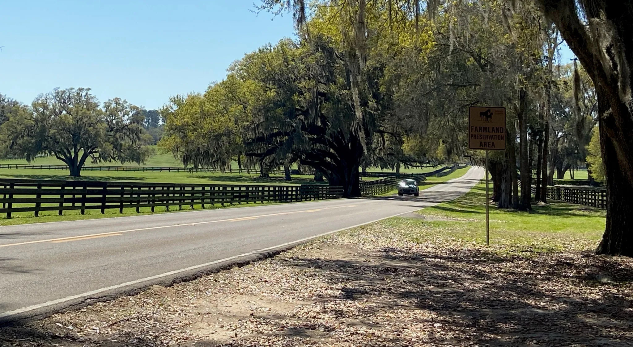 My-project-1-16 My-project-1-16